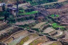 Hongue Rice Terrace