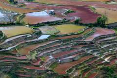 Hongue Rice Terrace