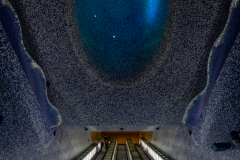 77A8624